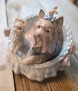 1997 Lladro OUR COSY HOME #6469 Yorkie Yorkshire Terrier Figur Hunde im Korb - Bild 1 von 8