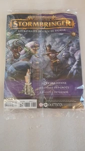 Warhammer Stormbringer   #74  Age Of Sigmar Stormcast  Idole Gardienne - Imagen 1 de 2
