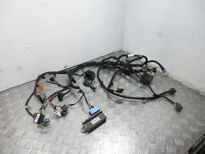 2018 RENAULT ZOE NAV X10 ELECTRIC MK1 ENGINE WIRING HARNESS LOOM (R110) *1239 - Image 1 of 4