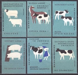 POLAND 1965 Matchbox Label Z#581/86 II set, Cattle for slaughter animals. - Picture 1 of 1