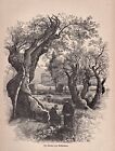 Izrael, Gat Schmanim, Getsemani - Widok ogólny - Ryt, drzeworyt 1888