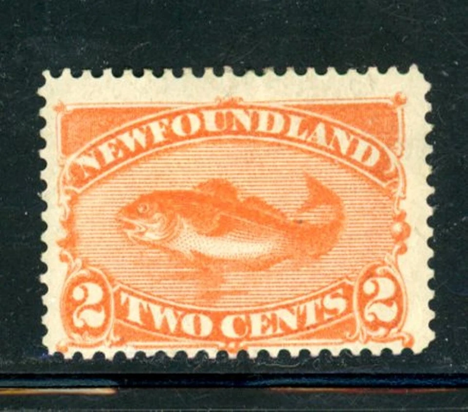 Newfoundland Scott # 48 - MH - CV=$40.00                  (6-C251) - Image 1 of 1