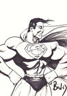 Superman Commission - signierte Kunst von Simon Bisley
