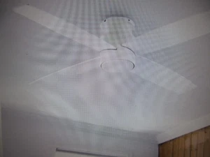 WINGBO 52 in. Matte White Flush Mount Indoor DC Ceiling Fan without Lights - Picture 1 of 7