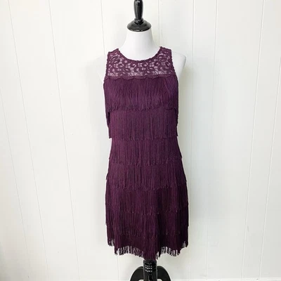 White House Black Market 女式紫色蕾丝条纹连衣裙 Flapper 尺寸 S — 第 1/4 张图片