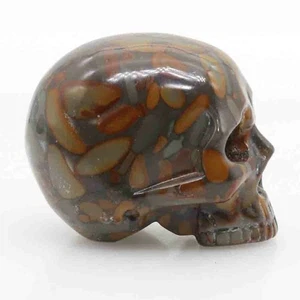 brown gold crinoid jasper jade , carved skull,realistic,crystal healing K499 - Picture 1 of 6