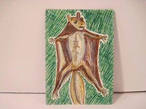 ACEO fantasy fauna 19 Original Art Card Drawing outsider naïve surrealism brut - Picture 1 of 4