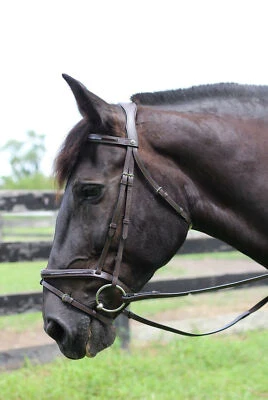 Henri de Rivel Piaffe Mono Crown Bridle w/ Flash Nose Band with Patent Leather