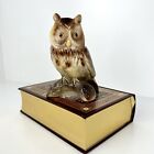 Jema Holland Owl 8 Vintage 50S Collectible Wise Old Barn Owl Woodland Animals