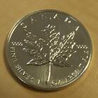 Canada 5$ Maple Leaf 1993 silver 99.99% 1 oz 99.9%