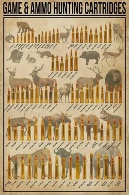 Hunting Cartridges Ammo Types Chart Knowledge Wall Art Decor Poster, No Frame - Image 1 of 2