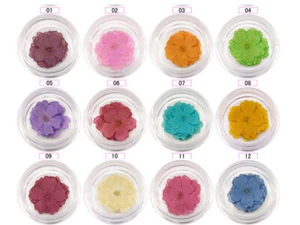 12er Set Nail Art Mini getrocknete Blumen ADF-115 - Bild 1 von 1