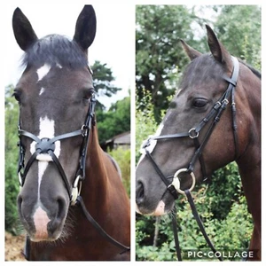 Grackle Bridle, Mexican Grackle With Reins, FULL, HAVANA, FREE UK Postage - Picture 1 of 1