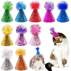 PET SHOW 10pcs Mini Small Dog Hats Cat Birthday Party Hat Rabbit Hats for Hol... - Picture 1 of 9