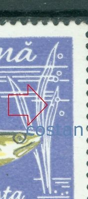 1960 Fish,Zander/Sander/Lucioperca lucioperca,Romania,Mi.1928,VFU,ERROR/4 - Image 1 of 2