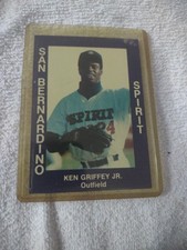 san bernardino spirit ken griffey jr