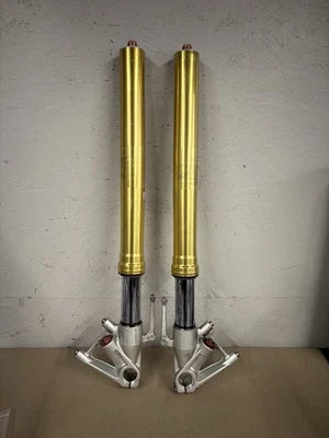 Juego de horquillas delanteras izquierda derecha BMW S1000RR 2009-2014 OEM suspensión tubo #0137 Foto 1 de 4