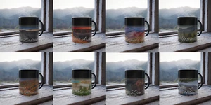 Color Changing! National Parks Ceramic Coffee Mug (Choose Your National Park) - Picture 1 of 406