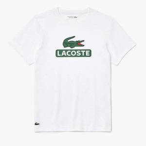 ebay lacoste