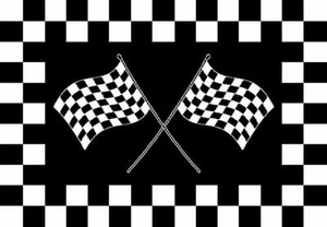 4x6 Alfombra Carrera Bandera Coche Equipo Carrera Campeonato Nascar F1 Comprobador (3'10"" x 5'1") - Imagen 1 de 1