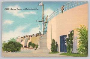 Postcard Marineland Studios at Marineland, FL - Picture 1 of 2