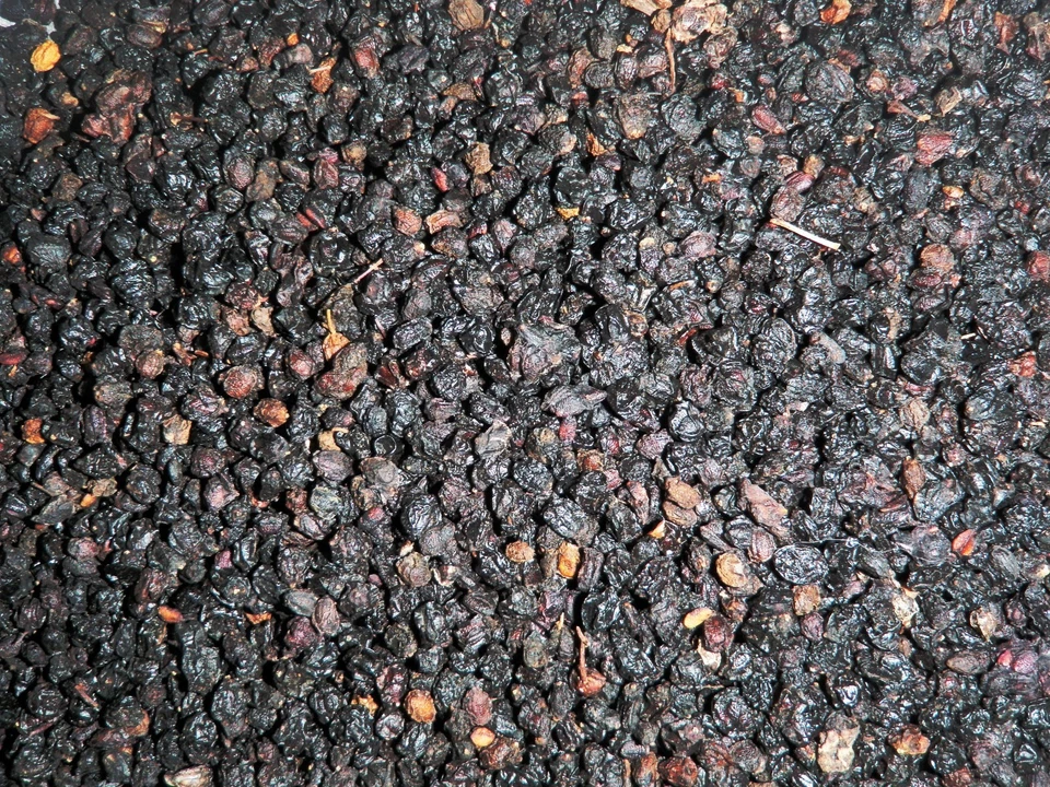 BARREL BREW HERBS Dried Elderberries Sambucus Nigra -Wine Beer 1 oz.- 10 lbs. Elder Berry