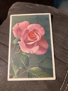 Pink - “Rosa-Rose” - Picture 1 of 2