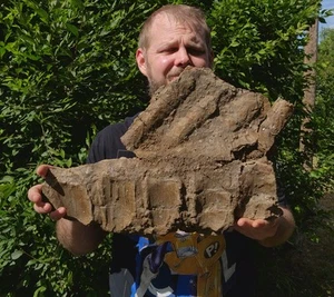 Sezione Dinosauro Vertebre Spina - Fossile - Formazione Hell Creek Cretaceo - Foto 1 di 7
