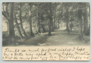 Postkarte Encliffe Woods, Sheffield 1915, Pathway, Walk - Bild 1 von 2