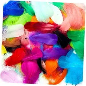 800pcs Colorful Feathers 20 Colors Craft Feathers 3-5 Inches Multi Color - Picture 1 of 8