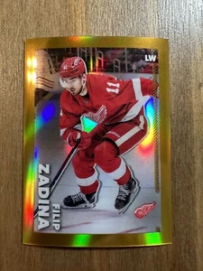 FILIP ZADINA 2022-23 Topps Chrome GOLD REFRACTOR Print Run #/50 (#182) - Picture 1 of 2