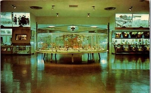 Cartolina Johnson Historical Museum New Brunswick NJ Boy Scout Display Scoutismo - Foto 1 di 3