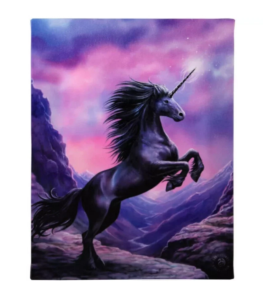 19x25cm Black Unicorn Canvas Plaque by Anne Stokes - Image 1 of 1