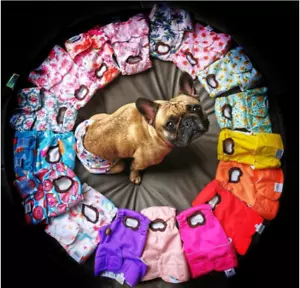 Pack of 3 Reusable Dog Diapers Female  Leakproof High Absorbing XS - Picture 1 of 16