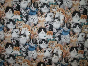 CATS REAL KITTY CAT COLORS COTTON FABRIC BTHY - Picture 1 of 4