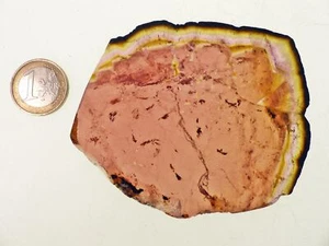 TS100 Madagascar melones disco de turmalina rosa rubelita 90 x 75 x 4 mm 350 quilates - Imagen 1 de 3