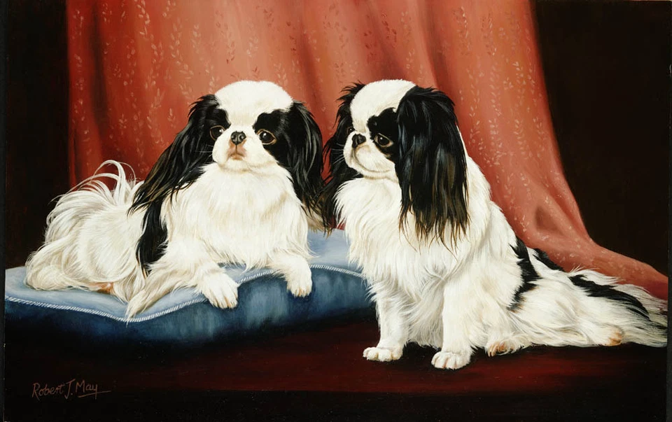 Japanese Chin Limited Edition Print by Robert J. May - Image 1 of 1