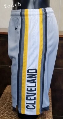 耐克 Dri Fit 克利夫兰骑士队 篮球 灰色 白色 短裤 青少年 尺寸 L 全新 — 第 1/4 张图片