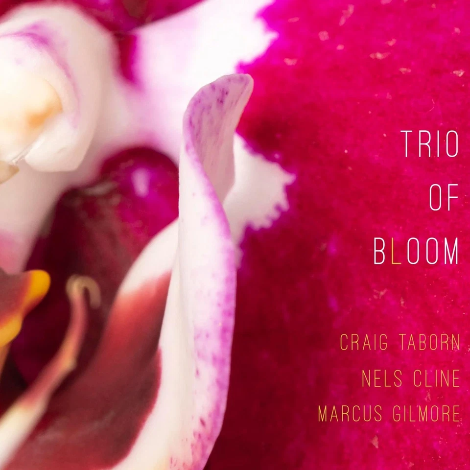 Trio of Bloom Trio of Bloom (CD) - Image 1 of 1