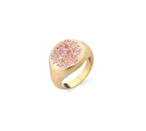 Anello sigillo in argento dorato satinato con zirconi rosa Sogni AN112GRS - Picture 1 of 3
