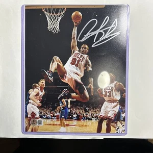 8x10 Signed Picture Dennis Rodman Beckett Certified Chicago Bulls - Picture 1 of 4