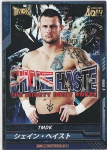 Shane Haste 2014 Bushiroad King of Pro Wrestling #BT07-016-R TMDK - Picture 1 of 2