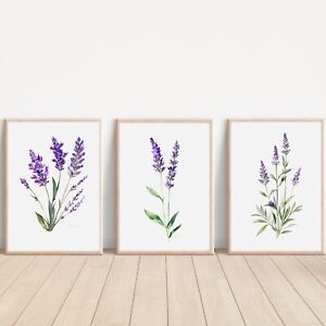 Set of Watercolour Lavender ART PRINTS Wall Picture Home Art (10 X 8” Sized)