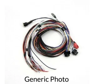 MOTEC M800 Loom and Sensors Turbo - Picture 1 of 1