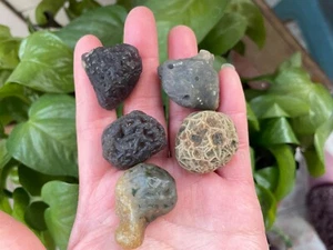 5 pieces Natural GoBi agate veins agate stone collection - Picture 1 of 10