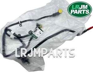 Genuine Jaguar LandRover Range Evoque Discovery FUEL SUPPLY&VAPOUR TUBE LR094430 - Picture 1 of 3