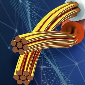 Cat 8 Network Cable 40Gbps High Speed 2000MHz Double Shielded 26AWG Cat 8 Eth FY - Afbeelding 1 van 29