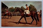 Postcard Vtg Kentucky Nashua Retired Stud Racing Horse Lexington