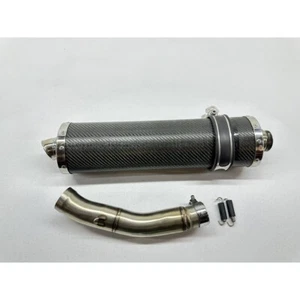 TERMINALE DI SCARICO MARMITTA CARBONIO TRIUMPH SPRINT RS 955 i 1998-2004 - Imagen 1 de 6