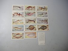 White Fish Authority trade cards The Fish We Eat 15/25 variable condition 